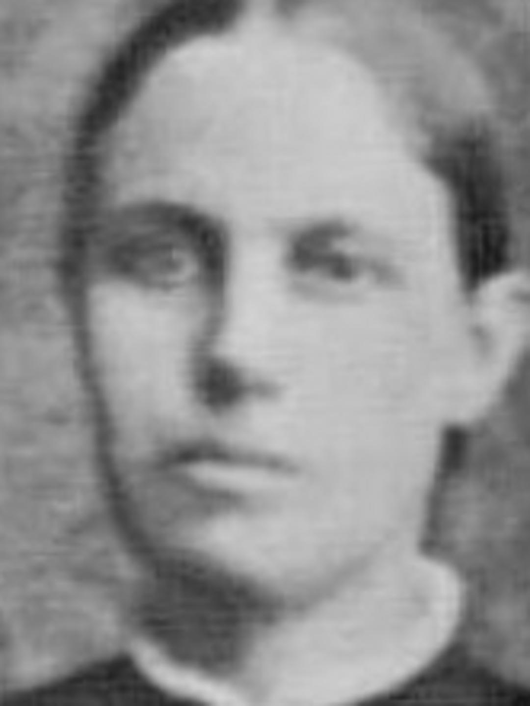 Alice Elizabeth Holmes (1853 - 1922) Profile